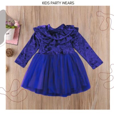 Luxurious Velvet Bodice